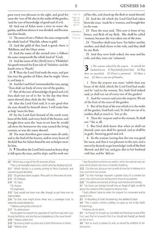 1599 Geneva Bible - Patriot's Edition - Hardback